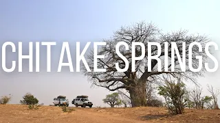 Chitake Springs | Zimbabwe's Hidden Gem