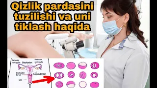 Qizlik pardasini tuzilishi va qizlik pardasini tiklash usulari haqida