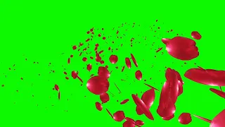 Flying Rose Petals Green Screen Animation Effects Full HD video