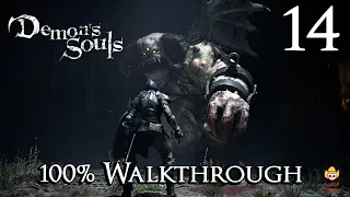 Demon's Souls Remake - Walkthrough Part 14: Upper Latria (3-2)