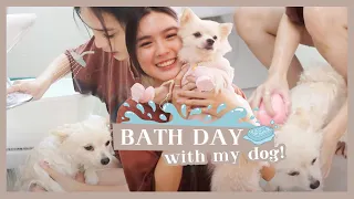 BATH DAY WITH MY DOG "LUNA" | Francine Diaz