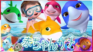 テディベアが振り返る| 保育園のライム＆キッズソング| やカーツーン| バナナカーツーン