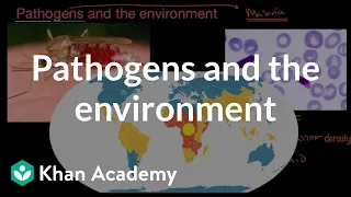 Pathogens and the environment| AP Environmental science| Khan Academy