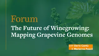 Forum: The Future of Winegrowing: Mapping Grapevine Genomes