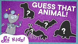 Can You Guess the Animal with Jessi and Mister Brown? | SciShow Kids Compilation