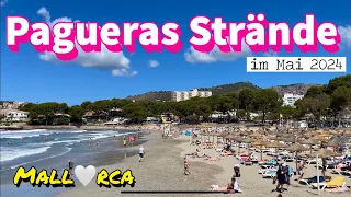 Paguera🌴🏖️MALLORCA island🩷NEW Pagueras Strände TOP🩷#mallorca #british #travel