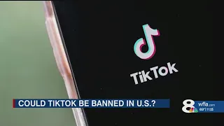 Tampa content creators react to potential U.S. ban of TikTok