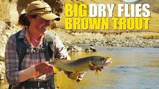 "Big, Bold & Beautiful Brown Trout" - Dry Fly Fishing a Small Stream (Fly Fishing)