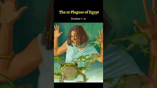 Things from the Bible in Real Life - Part 21 - The 10 Plagues of Egypt