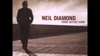 Make You Feel My Love - Neil Diamond