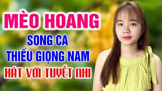 MÈO HOANG - Karaoke Thiếu Giọng Nam | Song ca với Tuyết Nhi Organ