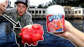 Kool-Aid Chicken Titty's For TROPHY CATFISH!!! (GIANT SPILLWAY)