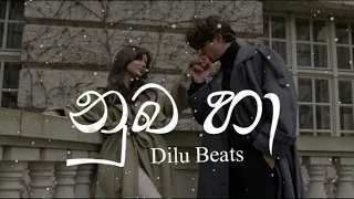 DILU Beats  Numba Ha (නුඹ හා)(slowed+reverb) Hight quality