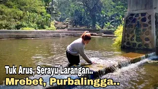 sebening kaca, inilah sumber mata air yg ada di desa serayu larangan, || keindahan alam pedesaan.