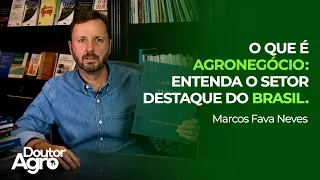 O que é Agronegócio | Doutor Agro | Marcos Fava Neves