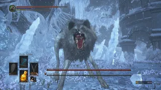 Dark Souls 3 Ashes of Ariandel: Champion's Gravetender and Gravetender Greatwolf Fight