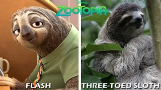 Disney Zootopia Characters in Real Life SMS TV