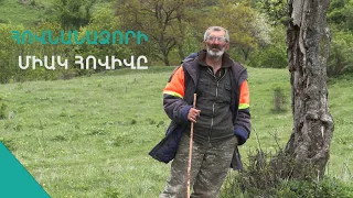 Ինտելիգենտ Ռոմիկի մաքուր, անարատ կյանքը