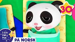 Søvning Panda | +flere Barnesanger | Little Baby Bum Norsk | Babysanger