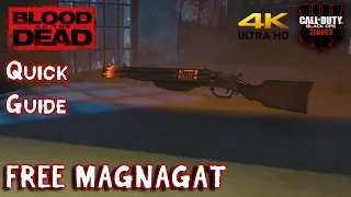 BLOOD OF THE DEAD Guides: How to Obtain the Magmagat (4K)