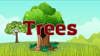 Trees for Kids | Learn Parts of a Tree for Kids | Tree and their Parts for Kids | Preschool Videos