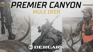 Bergara Premier Canyon - Montana Mule Deer with 6.5 PRC