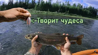 ЛЕНКА В РЕКЕ  БОЛЬШЕ ЧЕМ ХАРИУСА |  ЛУЧШИЙ ВОДОМЁТНЫЙ ПОХОД часть-1