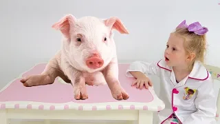 Stacy plays in pet toy clinic