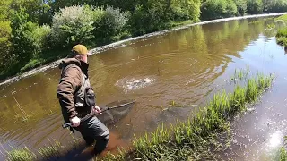 storåen. karup å. samt mindre åer. 2021