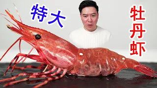 Encountering an extra-large live peony shrimp made me sleepless for several nights