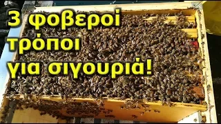 3 top χειρισμοί μελισσιού το φλεβάρη: Πως τσεκάρουμε αν έχουμε νοζεμίαση...