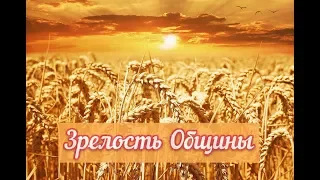 Зрелость Общины (Ефесянам 4:11-13)