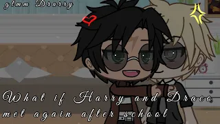 What if Harry and Draco met again after school | Gachalife Drarry | GLMM |original?