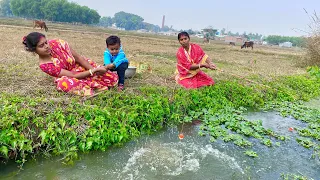 Fishing Video🐬🐬| Traditional woman fishing in the village canal | fish catching video.Best hook trap