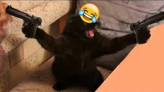 New Funny Animals 😂 Funniest Cats and Dogs Videos 😺🐶 #83
