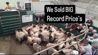 We sold the lot, Record #farm #farming #sheep #lambs #cows #tractors #irish #ireland #shepherd
