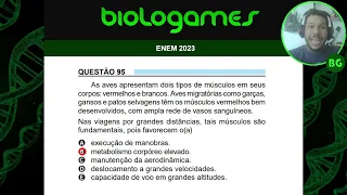 ENEM 2023 - PROVA AZUL - Questão 95