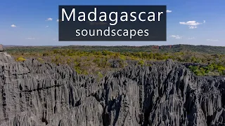 The sounds of Madagascar at Tsingy de Bemaraha
