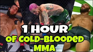 1 Hour of BRUTAL MMA Knockouts | Crazy Moments HD