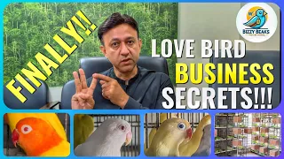 Surviving Lovebird Breeding Market Recession - BUSINESS SECRETS REVEALED - PROFITABLE MUTATIONS 2024