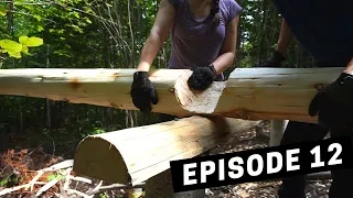 Building A Log Cabin | Ep. 12 | Notching our first 2 logs