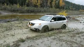 Subaru Forester in the mud