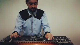 Another Bridge To Burn - Pedal Steel Guitar