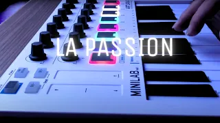 La Passion - Gigi D'Agostino [INSTRUMENTAL COVER] | MINILAB