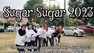 Sugar Sugar 2023 (Easy Beginner Line Dance)