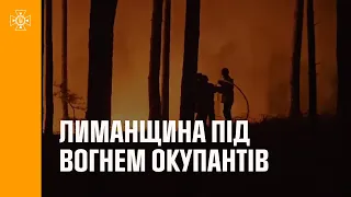 🔥Лиманщина під вогнем окупантів: тисячі гектарів лісів знищуються