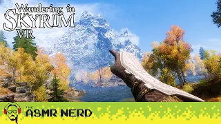 The Most Immersive Skyrim ASMR You've Ever Seen! Wandering in Skyrim (VR) Ep. 28 [whispering]