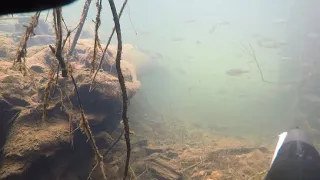 Закрытие сезона подводной охоты в супер прозрачной воде