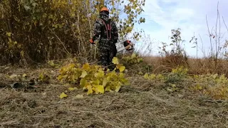 Расчистка от ДКР STIHL FS 450.