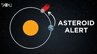 An Asteroid Has Been Discovered Ahead Of Us In Orbit